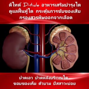 [2 กล่อง] ดีไทด์ D-TIDE  ฟื้นฟูไต กระตุ้นการขับของเสีย กรองสารพิษออกจากเลือด #ของแท้ #ส่งไว #มี QR Code