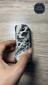 Black Sage (Mugwort) — สมุนไพรแห่งความฝัน & ญาณทิพย์  ช่วยเปิดจักระตาที่สาม (Third Eye)