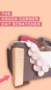 Pelindung Sofa & Papan Cakaran Kucing: Solusi Anti-Cakaran