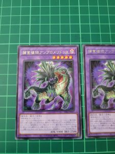 YUGIOH Japanese DIFO-JP037 捕食植物走鯨食蟲鳳梨 Predaplant Ambulomelioides (R) NEAR MINT 97%
