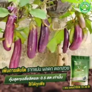 X9 Plant Booster สารเพิ่มอาหารพืช ปรับสภาพดิน ลดความเป็นกรด เติมแร่ธาตุ ช่วยระบบรากแข็งแรง เร่งดอก, เร่งผลผลิต, เร่งโต