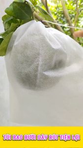 100 CÁI 30x35cm TÚI VẢI TỐT GIÚP BAO BỌC TRÁI BƯỞI DƯA LƯỚI... - VẬT TƯ NÔNG NGHIỆP