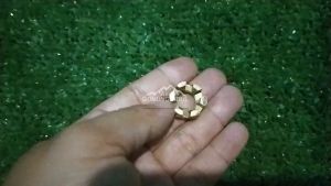 Mur Mahkota Mur Kembang - Slotted Nut
