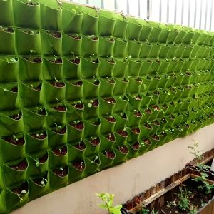 Wall Mounted Planting Bags Felt Planting Bags Beauty Planting Bags Seedling Growth Bags Plant Cultivation Container Bags in