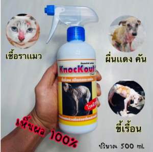 สเปรย์ป้องกันขี้เรื้อน เปียกและแห้ง ผื่นแดงคัน (ปริมาณ 500ml)