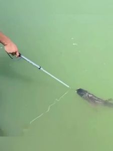 Telescopic Fish Gaff Stainless Steel Ice Sea Fishing Spear Hook Flexible Fishing Gaff Holder Spear Hook Gripper Tool Accessories