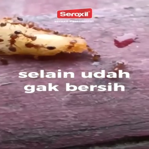 Seroxil Obat Pembasmi Anti Semut Kecoa / Racun Semut Kecoa Ampuh 450ml & Aerosol