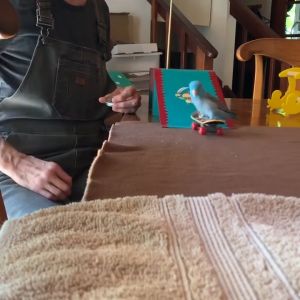 Đồ chơi ván trượt cho Chim Vẹt (mẫu mới) - Love Pets Shop