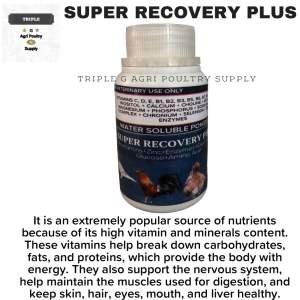 SUPER RECOVERY PLUS 150grams - Water Soluble Powder