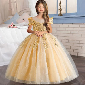Flower Girl Lace Up Dress Wedding Kids Flowers First Communion Ball Embroidery Festival Party Dress 12Y