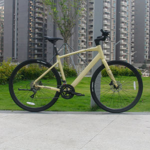 Java | Aluminum 18-Speed Racing Bike Hydraulic Disc Brake