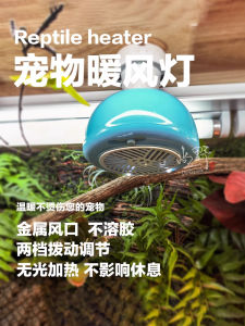 DHREPTILE Pet Heating Lamp Temperature Control Warm Air Conditioner for Reptiles Breeding Honey Pouch Small Chick