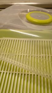Best Ware Bread Serving Tray Storage Container / Kuih Bekas Plastik Kek Kuih Roti [Random Colour Pick] 1045/S 1047/S
