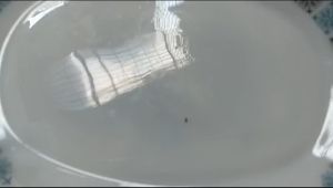 Mote manik manik fancy (10 gr) Full warna