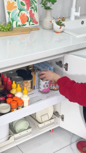 SJorage Adjustable Length Kitchen Cabinet Pullout Basket with Sliding Dish Rack Kitchen Organizer Drawer Cabinet