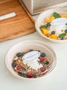 Disposable Biodegradable Light Meal Bento Box