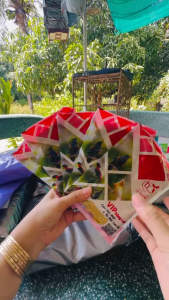 (combo 5 gói) Cám Vip Lê Thịnh dành cho chim hút mật gói 100gr