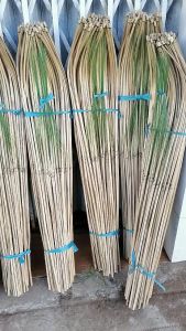 Cần Câu Cắm Cá Lóc Cá Trê - Tre Già ( Combo 10 cây 20 cây 50 Cây )