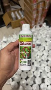 Kill Grass Herbisida Biologis Basmi Hama Rumput Tanaman Liar Dan Gulma
