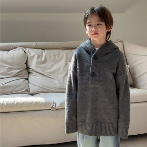 Stylish Hooded Knitwear for Boys Medium to Large Childrens Fashionable Winter Sweater Korean Style All-Season Long Sleeve