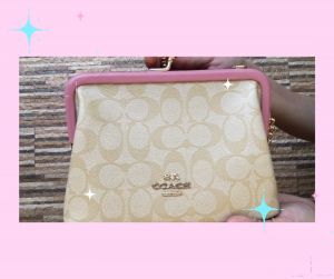 MustHaveIt Korean Fashion Trendy Two Way Pink Kiss Lock Clutch Bag and Sling Bag for Women for Special Occasion