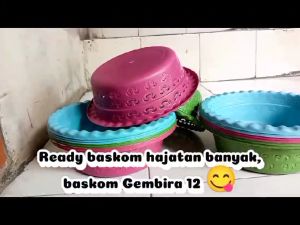 Baskom gembira 12  elegan multi warna dimensi 26 cm
