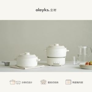 Electric Cooker for Students Dormitory Home Use 2L Small Detachable Multi-Functional Instant Noodle Special Electric Pot