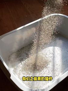 Glory Pets Millet Cat Litter 2.4kg Clumping Corn Sand Pure & Natural Frosty Pearl