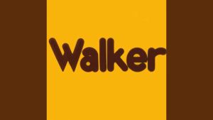 Walker รองเท้าหุ้มส้นผู้ชาย รหัสสินค้า DL175
