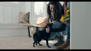 Levoit Core P350 Pet Care Air Purifier True HEPA H13 Filter Original Pebersih Udara Ruangan Rumah Kantor Pembersih Udara Hepa 13 Penyaring Udara Untuk Hewan Peliharaan - Lazada