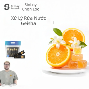 Hạt Cà Phê Geshar Ethiopia Mới Xay 112g