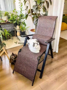 ZIYE | Foldable Recliner Lounge Chair