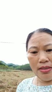 COMBO 2 CHAI TOP ONE- Bật Mầm Bật Chồi Mạnh Kích Rễ Lá Dày Dung Dịch Cô Đặc 500ml