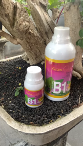 GROW QUICK VITAMIN B1 PLUS 100 ML PUPUK HORMON AKAR KEMASAN PABRIK - B1 GROW QUICK KECIL
