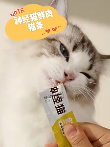 【SG Seller】100pcs*15g Bucket Cat Treats Strips  90% Meat Content Chicken/Salmon/Tuna Krill Supplemental Nutrition Fattening Cat Wet Food
