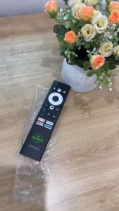 Remote Điều khiển GIỌNG NÓI VOICE TV Coocaa Skyworth Casper NÚT MŨI TÊN XANH TẶNG PIN