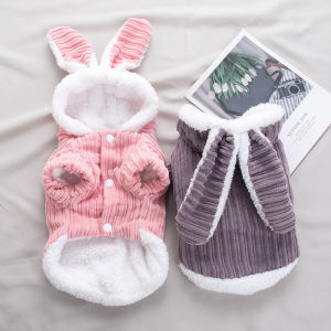 Petone dOrage | Pet Warmth Clothes Autumn Winter