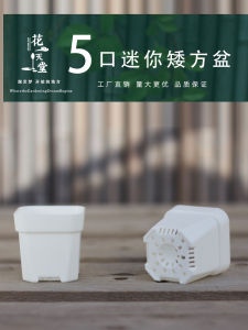 5 Caliber Extra Thick Mini Succulent Plastic Square Basin Seedling Planting Balcony Party Fine Control Meat Flower Pot Breathable and Beautiful