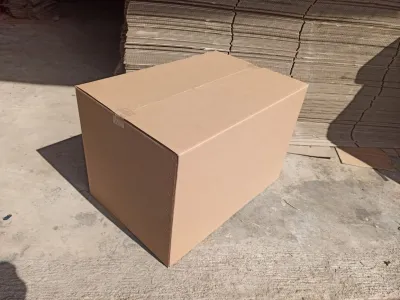 kardus box packing polos 100x48x50 cm