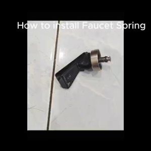 Zebra Faucet Spring Replacement (Stainless Steel 304) *Ready Stock*