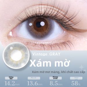 T-Garden | Kính áp tròng màu dùng một hàng ngày Bambi Style đường kính nhỏ tự nhiên Caramel 10 chiếc