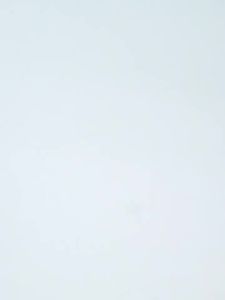 Pet Oral Care Kit For Cats and Dogs Teeth Cleaning
