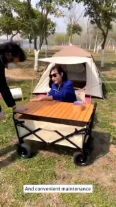 Step Ladder 2/3/4/5 Steps Black Foldable Step Ladder Household Ladders Carbon steel Ladder Step