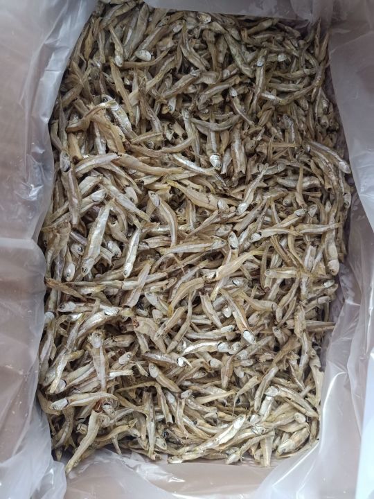 IKAN%20BILIS%20RAPUH%20TANJUNG%20DAWAI%20(GRED%20AAA)%20-%20Image%202
