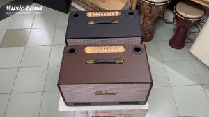 Loa Guitar Điện Acoustic Classic Hát Karaoke Boruco BR-801B Chính Hãng Công Suất 300 Watt