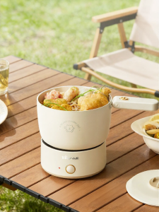 Bear | Portable Mini Multifunction Electric Pot