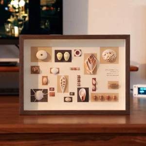 Hộp Đựng Vỏ Sò Thủ Công DIY Khung Ảnh Mẫu Hoa Cỏ Hình Bướm Hộp Đựng Đá Sao Biển Hộp Đựng Mẫu Vật Đồ Trang Trí Nhà Phong Cách Trung Hoa Mới