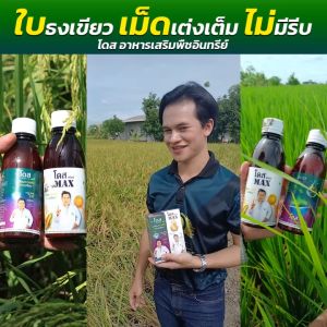 DOSEแม็กซ์ 2แถม1 ฟรี!!ถุงมือ DOSEแม็กซ์ ช่วยเสริมประสิทธิภาพของ โดสเอ็กซ์ตร้านาโน สูตรเสริมพลังพืช 10 เท่า