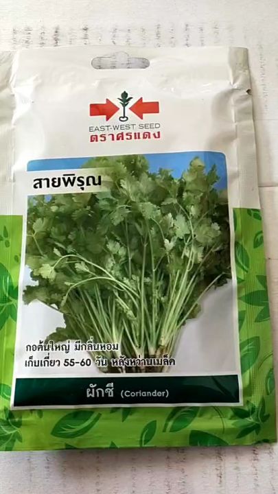 เมล็ดพันธุ์ผักชี ศรแดง สายพิรุณ กอใหญ่ กลิ่นหอม