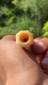 Pipa Lokal Panjang 16cm: Penggunaan & Aplikasi